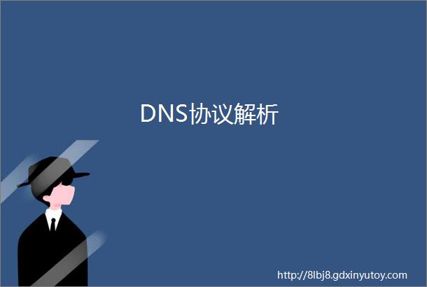 DNS协议解析