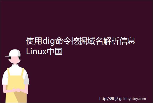 使用dig命令挖掘域名解析信息Linux中国