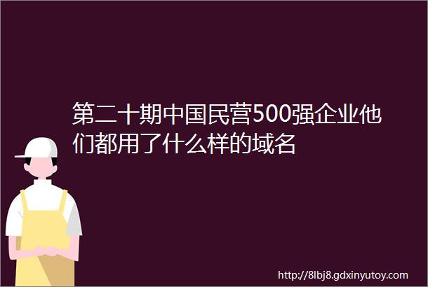 第二十期中国民营500强企业他们都用了什么样的域名