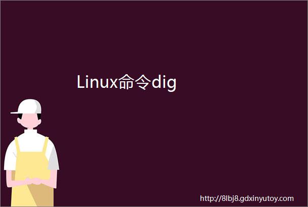 Linux命令dig