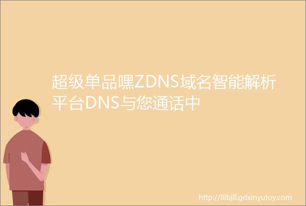 超级单品嘿ZDNS域名智能解析平台DNS与您通话中
