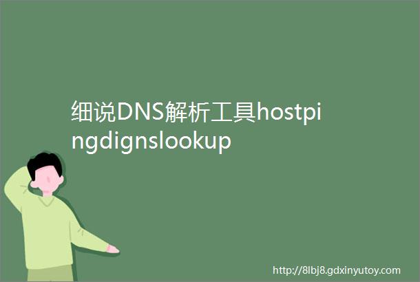 细说DNS解析工具hostpingdignslookup